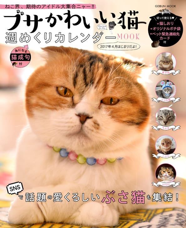 ブサかわいい猫 週めくり カレンダーMOOK | 芸文社カタログサイト
