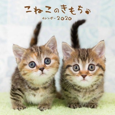 こねこのきもちカレンダー2020