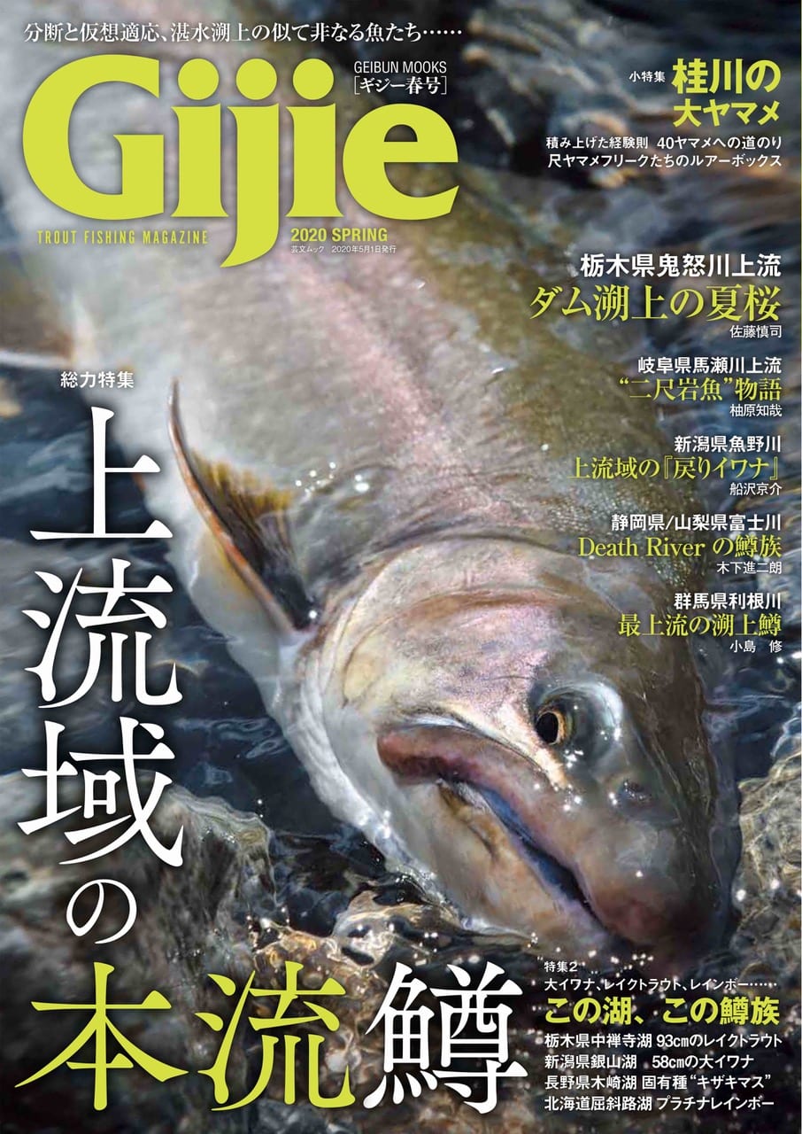 Gijie 2020春号 芸文社カタログサイト
