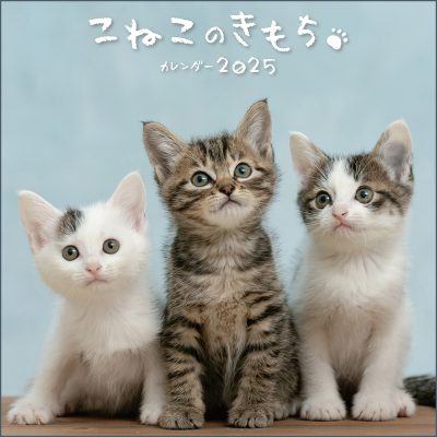 こねこのきもちカレンダー2025