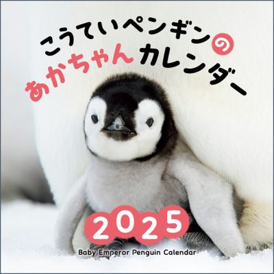 こうていペンギンのあかちゃんカレンダー2025