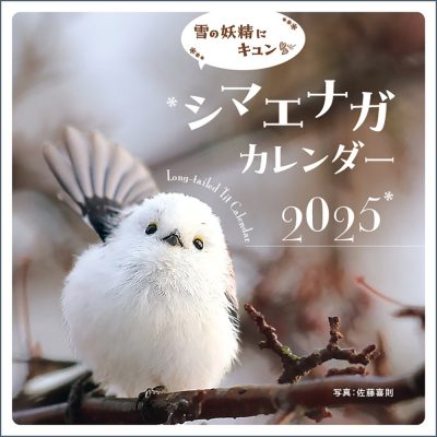 雪の妖精にキュン シマエナガカレンダー2025